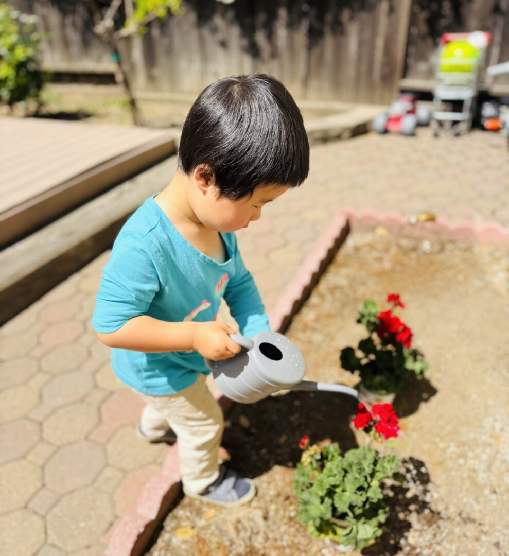 A young boy watering plants in a garden with a small watering can.